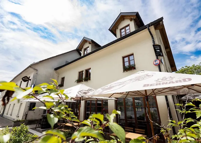 招待所 Pr'finzgar 3*